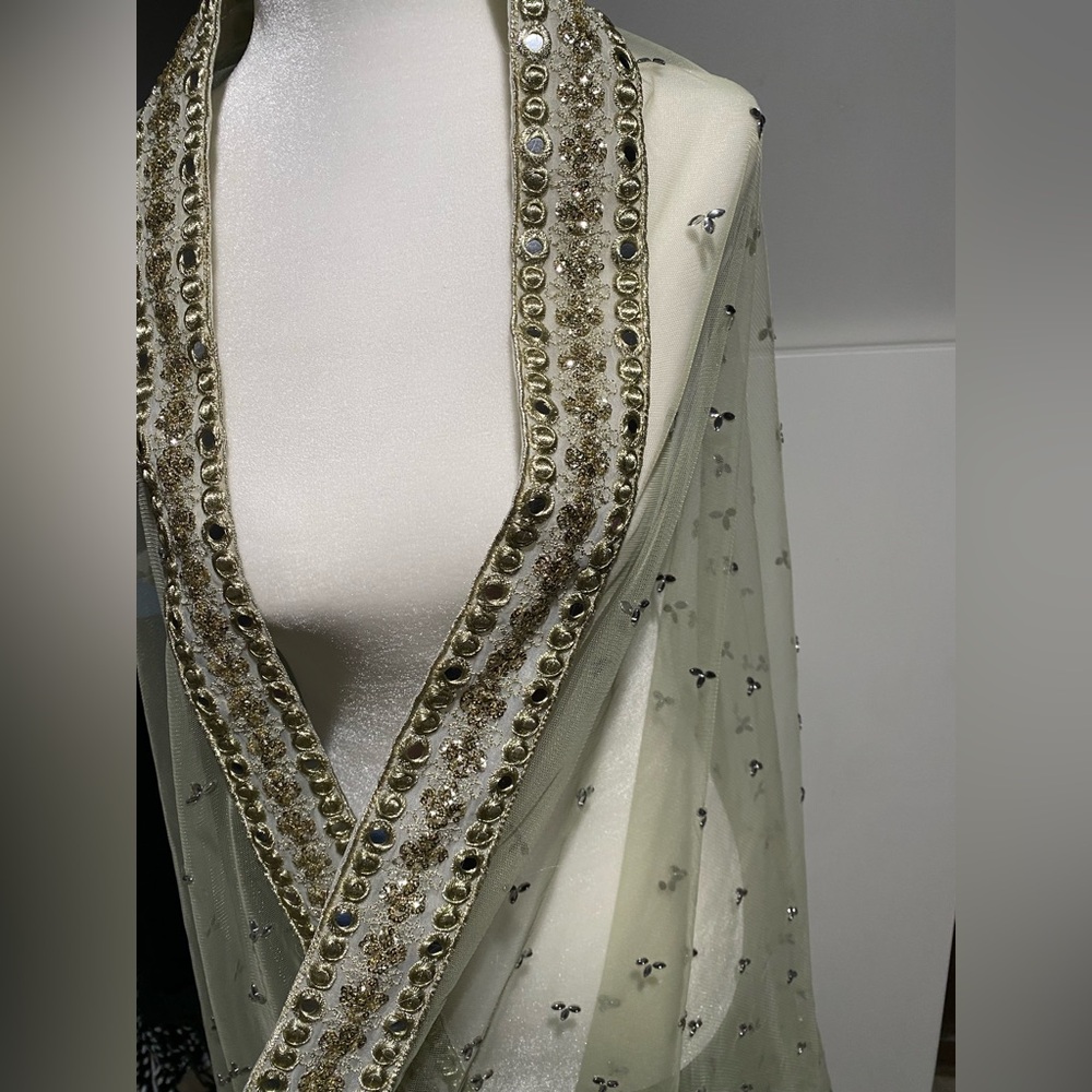 Elegant Sheer Shawl with Gold Embellishments Indian Shawl Dupatta Zari Green - Picture 3 of 4